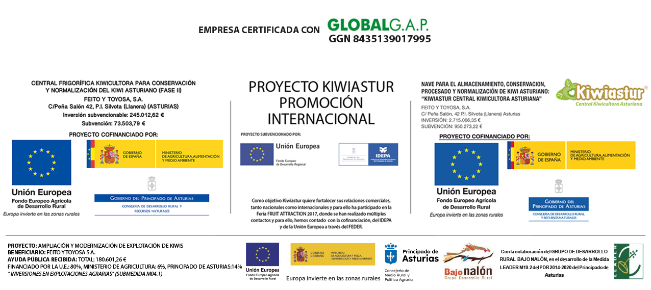 Proyecto financiado por la Unión Europea / Gobierno de España / Principado de Asturias